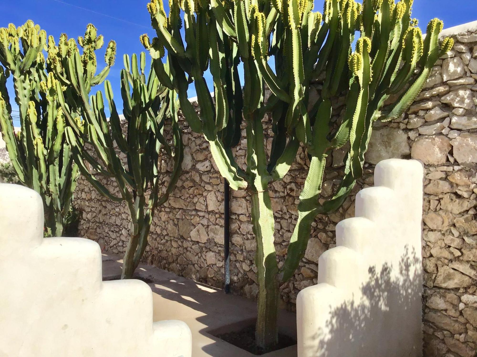 Dar Alya Essaouira Maison Et Table D'Hotes Al Ghar Exterior foto